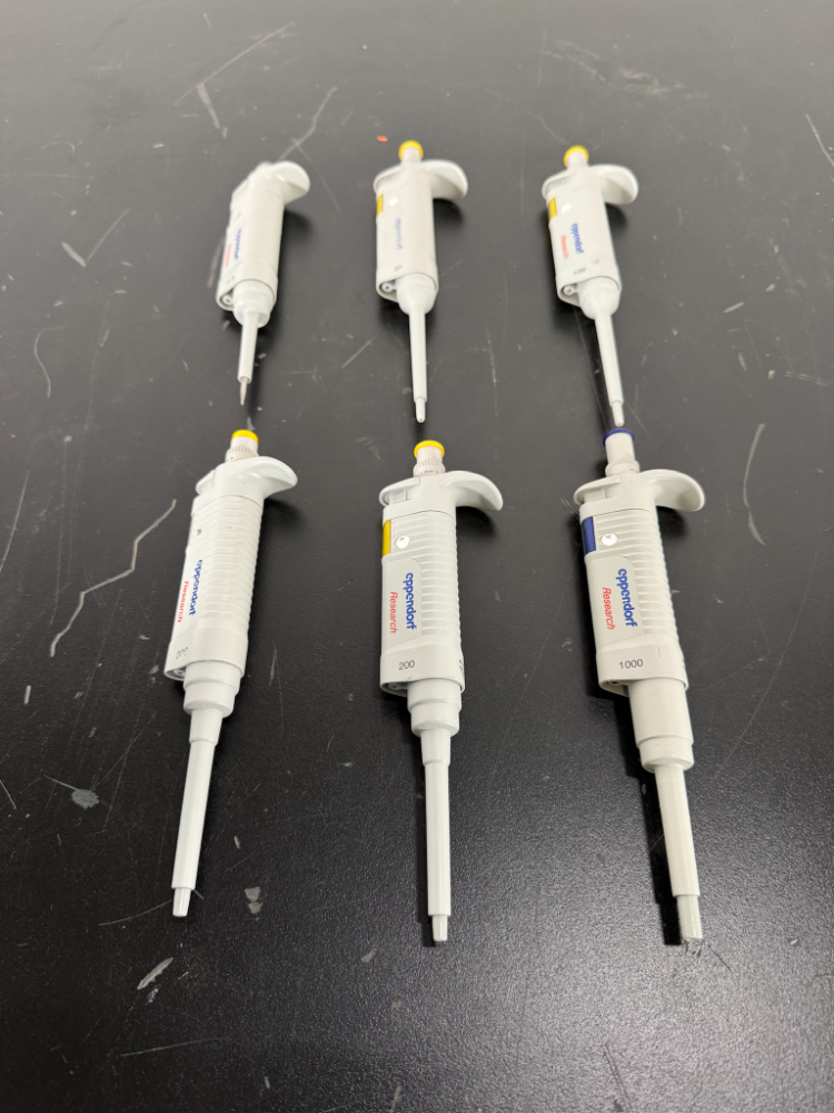 Image of Eppendorf Research Single Channel Pipettes - Quantity 6